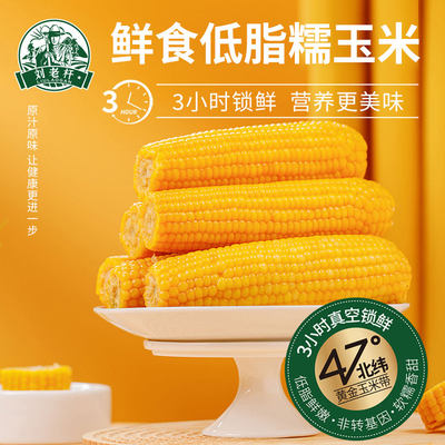 刘老杆东北黄糯玉米软糯黄粘苞玉米现摘真空装早餐代餐饱腹玉米棒