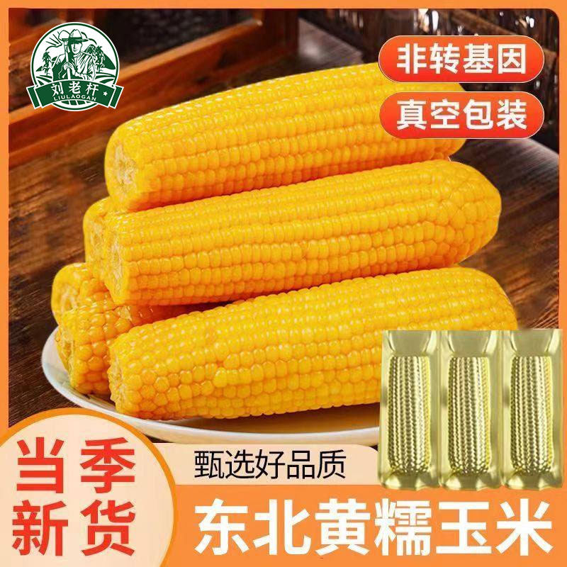 刘老杆东北黄糯玉米新鲜软糯黄粘苞玉米现摘真空装早餐饱腹玉米棒