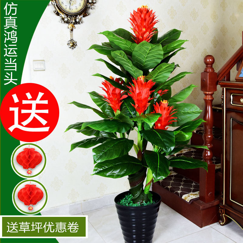 假花鸿运当头仿真盆栽型假树仿真树室内落地假盆景绿植