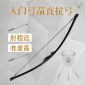 入门一体弓直拉弓郊游景区箭馆弓箭射箭支套装 户外运动射靶纸靶子