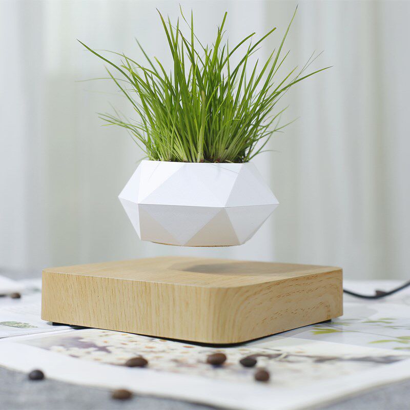 磁悬浮盆栽植物盆景家居网红工艺品乔迁新居