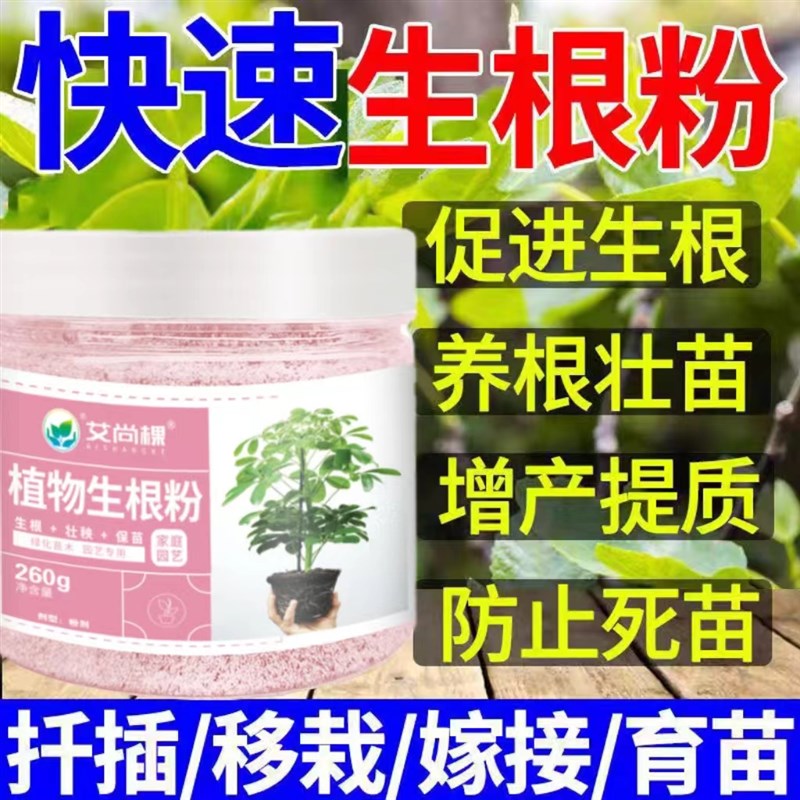 植物强效生根粉绿植花卉通用小树木扦插移栽种植生根壮苗剂