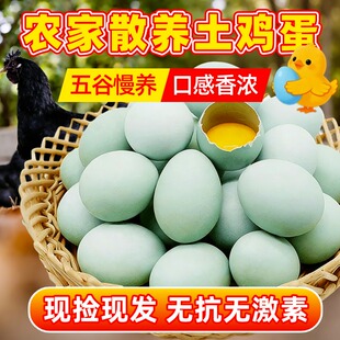 绿壳土鸡蛋笨鸡蛋现捡山林散养初生蛋虫草蛋乌鸡
