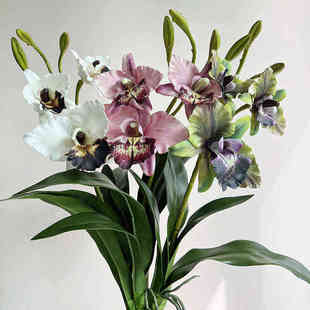 仿真卡特兰加多利亚兰花假花摆件室内客厅装饰品插花艺绿植盆栽