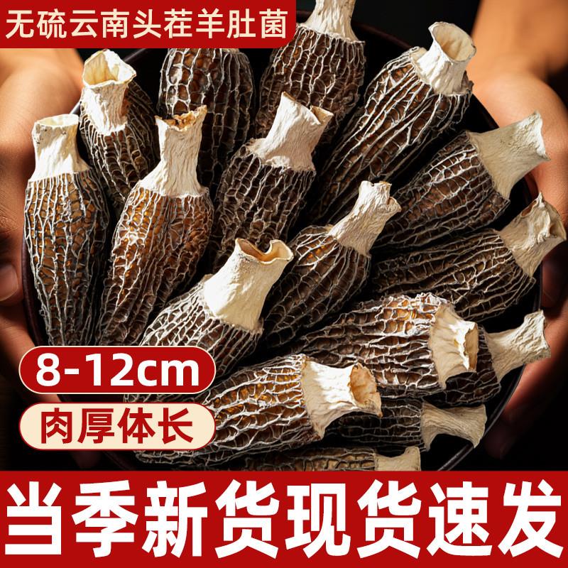 。云南特产头茬羊肚菌干