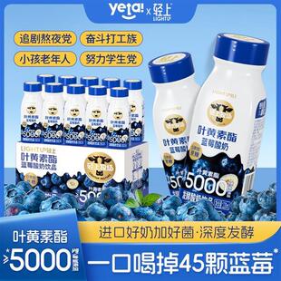 热销叶黄素酯蓝莓酸奶饮品蓝莓奶昔蓝莓果汁发酵酸奶饮料营养