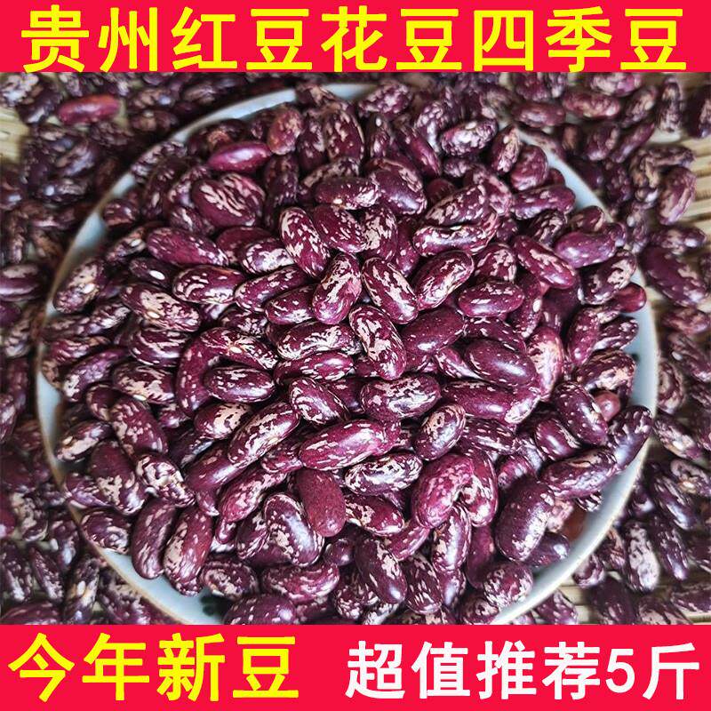 。贵州新豆米农家四季豆红