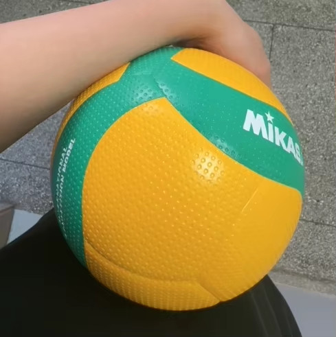 高颜值中考专用五号排球
