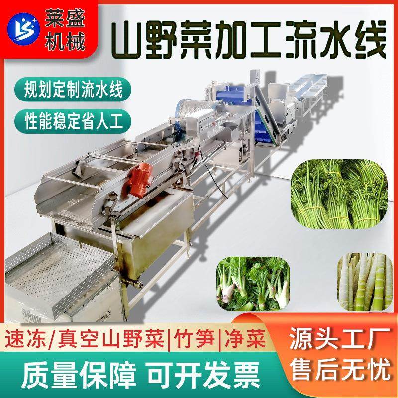 山野菜竹笋贡菜加工流水线银耳地皮菜清洗设备全自动清洗漂烫机