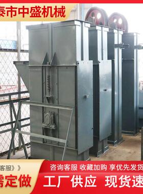 粉尘垂直输送板链斗式提升机 NE15 NE50斗式提升机建筑工地提升机