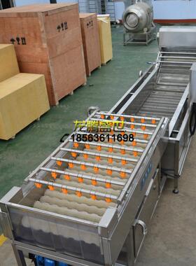 加工定做鲜橙清洗机水果清洗机头加工成套流水线