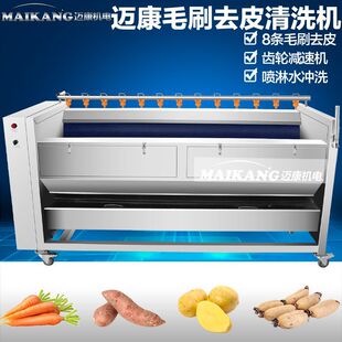 定制菊芋毛刷清洗机 薯片厂马铃薯去皮机 全自动胡萝卜清洗机