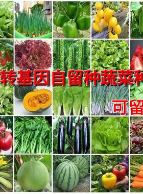 农家自留种非转基因常规品种可留种阳台蔬菜种四季播种蔬菜套餐
