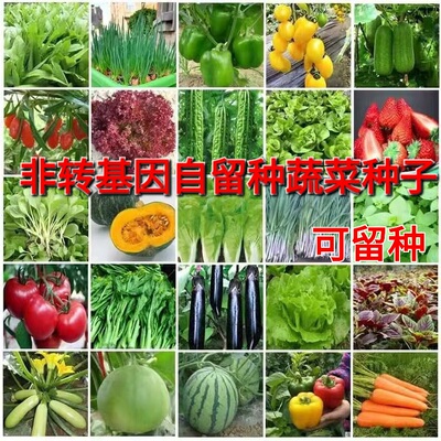 农家自留种非转基因常规品种可留种阳台蔬菜种四季播种蔬菜套餐