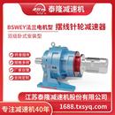 双轴型 电机型 法兰型摆线针轮减速机器 BS双级卧式 工厂自营