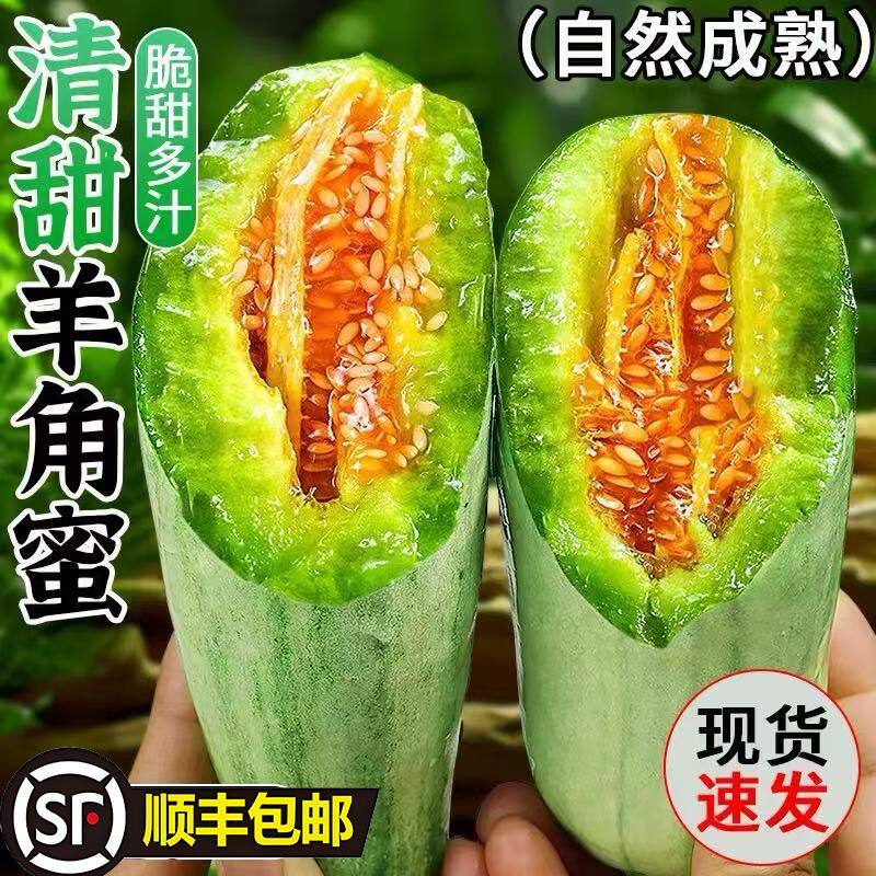 山东羊角蜜甜瓜新鲜水果10斤当季脆甜蜜瓜香瓜时令羊角脆整箱包邮