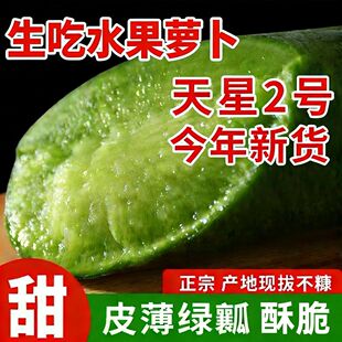 天星二号甜脆水果型冰淇淋萝卜沙窝脆嫩萝卜口感青萝卜绿皮萝卜