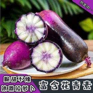 山东潍坊正宗紫皮冰淇淋水果萝卜凤梨冰激凌水果型生吃心里美萝卜