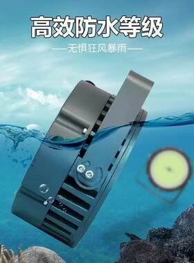 led集光鱼灯D船用防水LE诱鱼鱼聚集鱼灯青鱿鱼灯1000W集鱼灯高亮