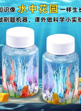 水中花园魔术石头科技小制作stem实验教育实验材料包幼儿园