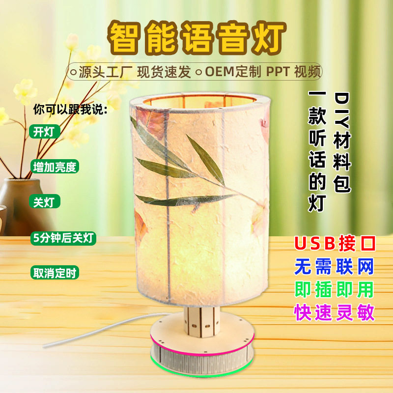 押花台灯diy手工干花小夜灯压花植物声控床头灯沙龙团建活动材料