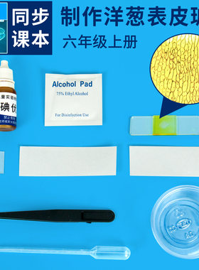 科学实验材料洋葱表皮细胞切片标本手工科技小制作学生同步教科版
