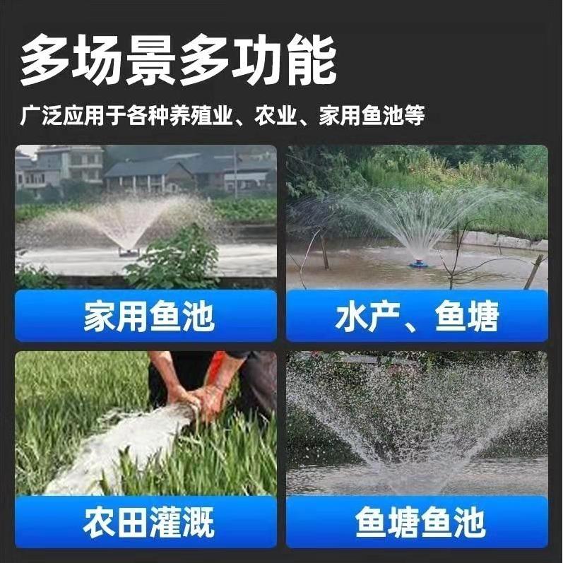 德国进口全自动鱼塘增氧机鱼塘养殖排灌虾塘增氧机浮水泵池塘增氧