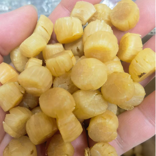 元贝干瑶柱大连新鲜淡晒干贝孕妇宝宝辅食煮粥煲汤焖肉扇贝肉干货