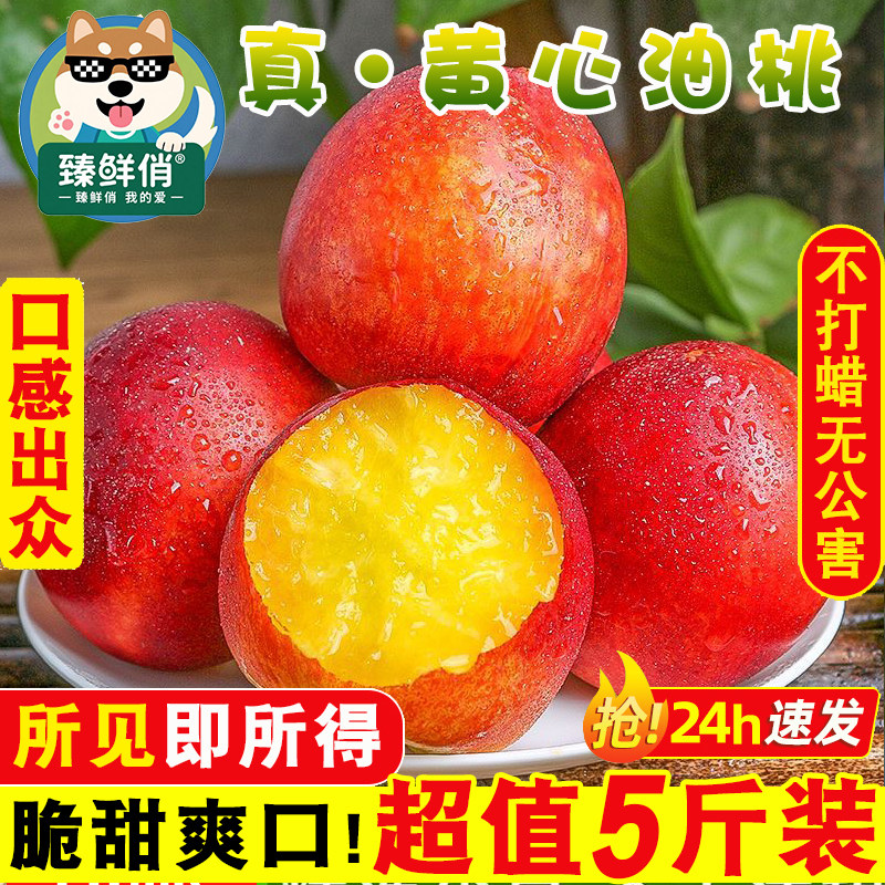 新鲜黄心油桃应季脆桃子水果当季水密桃整箱包邮孕妇时令砀山蜜