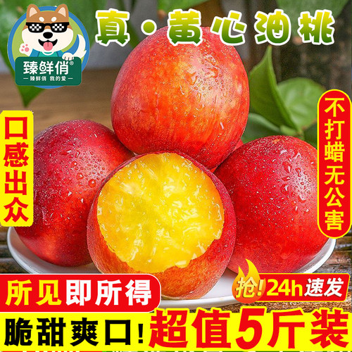 新鲜黄心油桃应季脆桃子水果当季水密桃整箱包邮孕妇时令砀山蜜