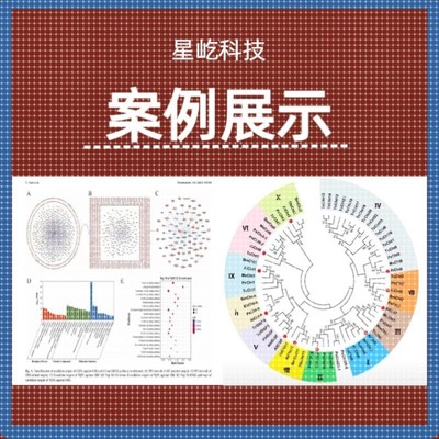 Materials Studio分子动力学模拟ms软件中英文视频MS中文系列教学
