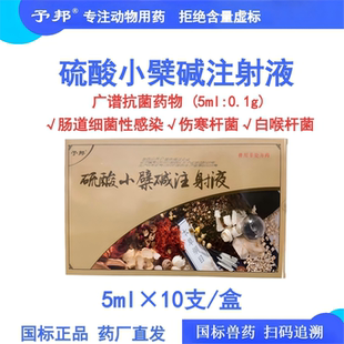 予邦利正硫酸小檗碱注射液兽用抗菌药猪牛羊肠道细菌感染黄连素