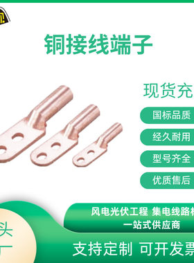 厂家 电力金具铜接线端子铜鼻子DT DTS DTL-2 DTL-3铜接线端头