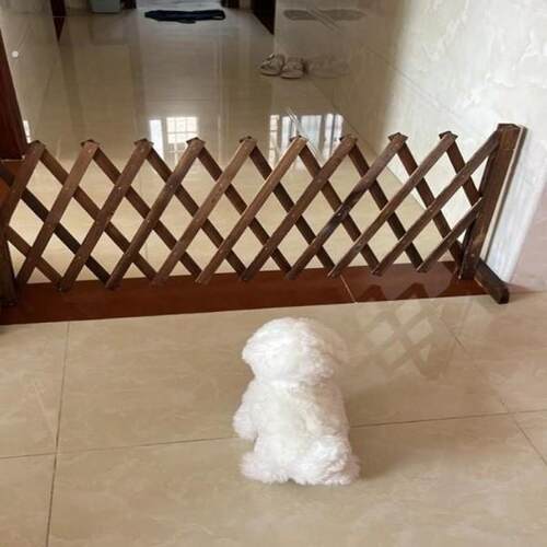 宠物围栏狗笼隔断拦狗栅栏阳台隔离门可伸缩栅栏门挡狗挡猫兔护栏