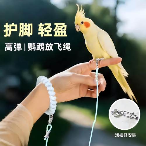 鹦鹉放飞绳不伤脚超轻牵引绳虎皮玄凤牡丹小太阳脚环脚链遛鸟绳