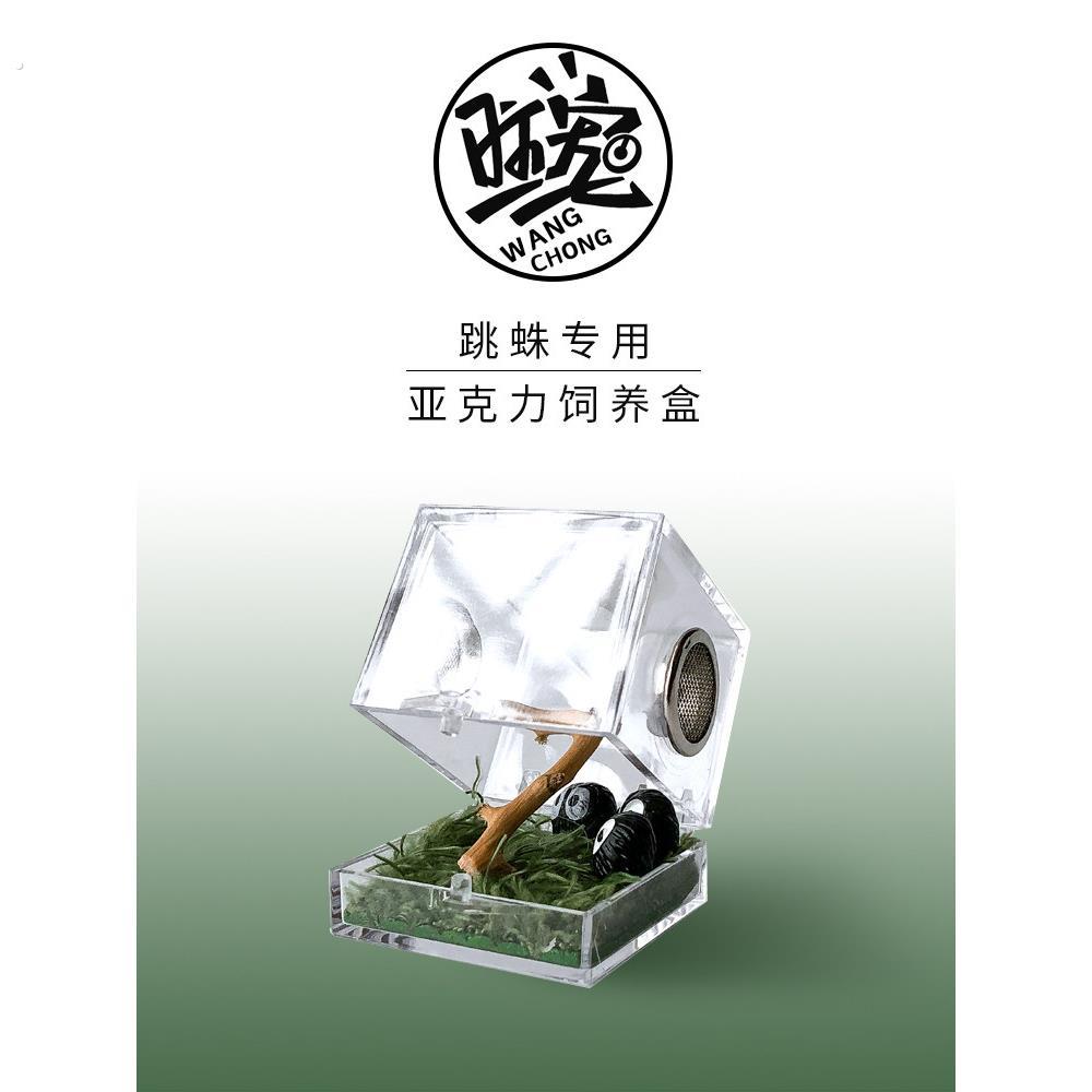 宠物跳跃蜘蛛甲虫繁殖箱攀登宠物繁殖箱亚克力高透明透气性透明箱