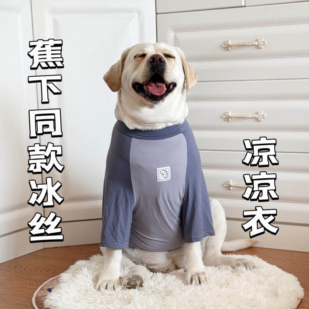 拉布拉多衣服夏季薄款冰丝衣服大型犬凉感防晒凉凉衣防掉毛空调服