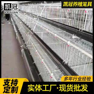 多层阶梯式蛋鸡笼新型全自动养鸡设备热镀锌自动清粪带钢丝蛋鸡笼
