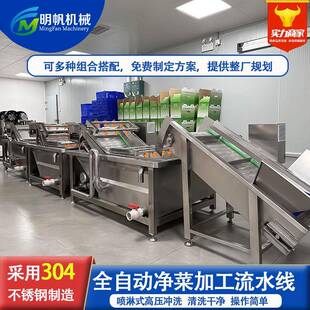 叶菜全套清洗线苹果香梨猕猴桃气泡清洗机酱腌菜清洗去盐设备