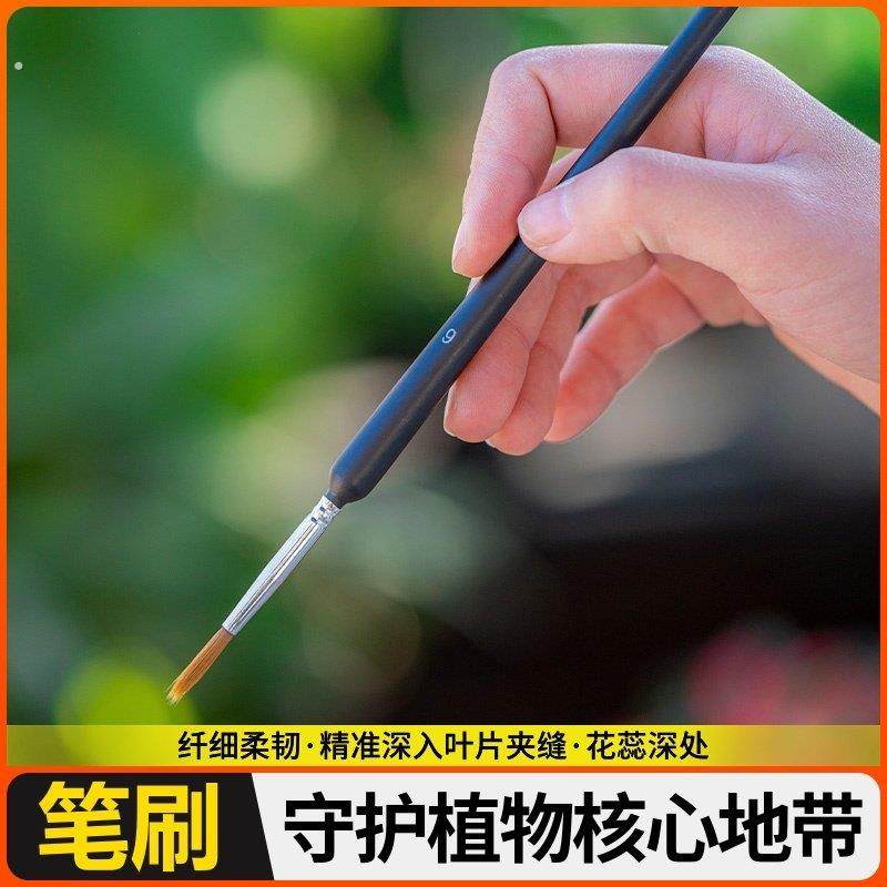 专用刷清洁套装毛刷植物叶片除灰尘多肉植物工具软毛刷子材料配件,鲜花速递/花卉仿真/绿植园艺,其它园艺用品,淘宝优惠券,粉丝福利购,淘宝优惠卷