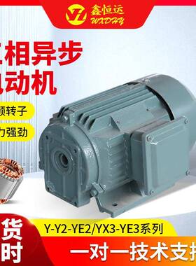三相异步电动机YE2-71M1-2YE2-71M2-2压缩机用三相异步电动机