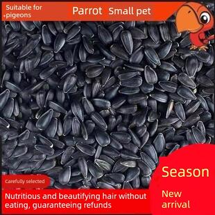 10/ 2.5公斤油葵花籽黑珍珠小瓜子鹦鹉鸟饲料仓鼠饲料鸽子饲料生