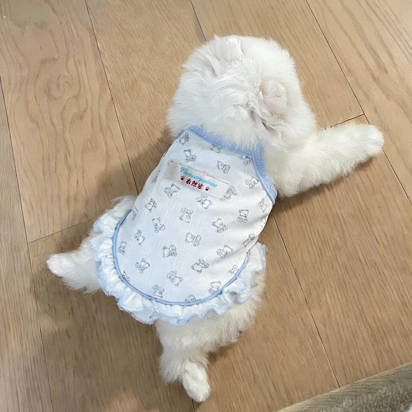 小狗衣服小型犬狗狗猫咪2026新款宠物春装高颜值防掉毛薄款吊带