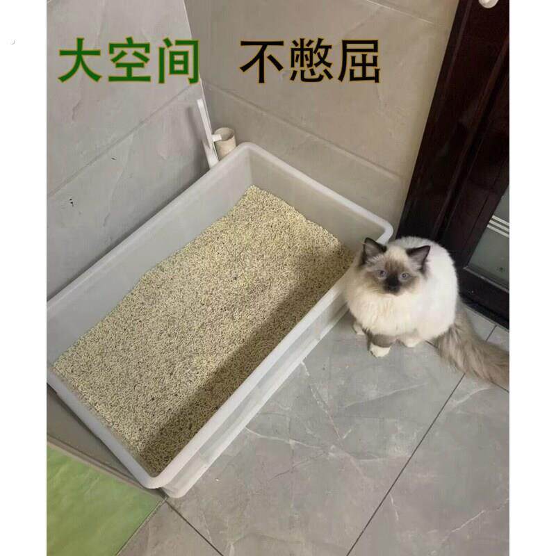 缅因猫集装箱猫砂盆全开放特大号周转箱巨型特大号猫厕所