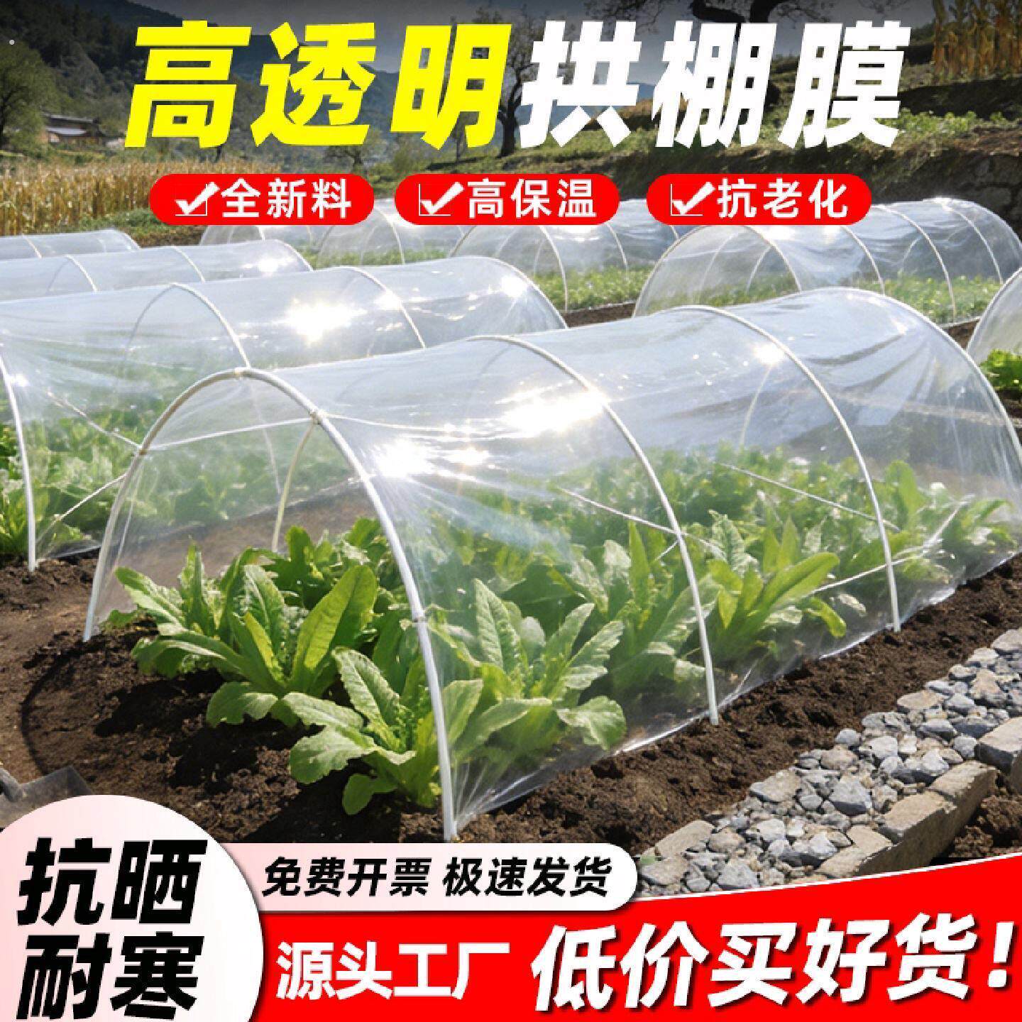 农用种菜蔬菜小拱棚膜大棚膜透明塑料薄膜菜地二膜保温膜种植防水