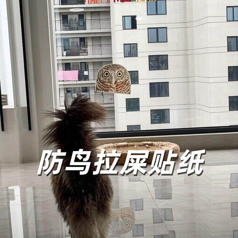 【屎命必答】猫头鹰贴纸防鸟屎窗户贴纸乌鸫鸟天敌落地窗装饰贴纸
