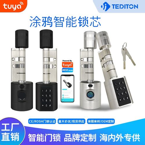 简易指纹密码锁芯小葫芦大葫芦芯锁涂鸦app替换机械芯