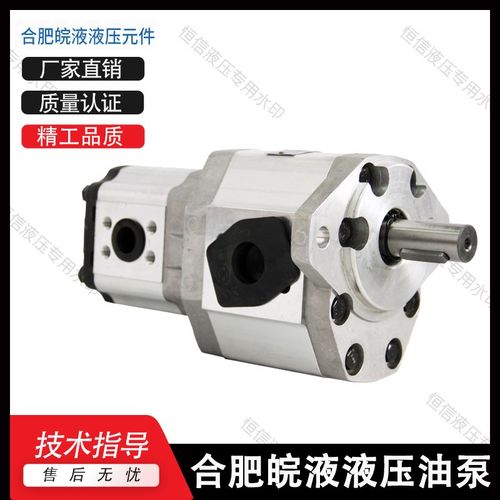 合肥皖液齿轮泵CBQT-E563/E432 F550/F425 F540/F420-AF 双联油泵