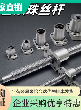 滚珠丝杆 BSSE/BSSR/BSST/BSSZK0802 0804 1010 1204 2510 3206