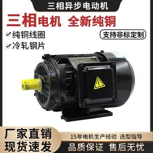 380V全铜YE3三相异步电动机3W-200W水泵风机压缩机高效节能